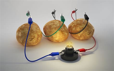 does electric utlity box affect vegatables|electrical conductivity and plants.